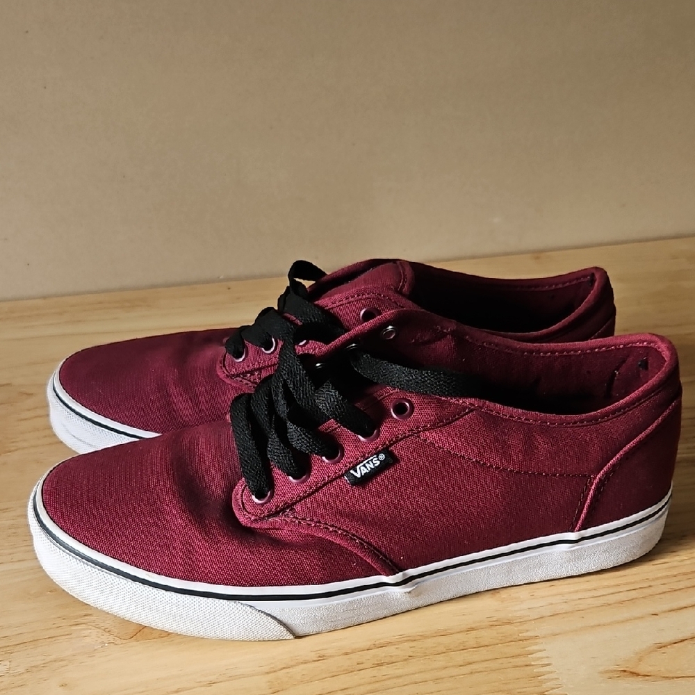Vans Men's Deep Red Canvas Sneakers